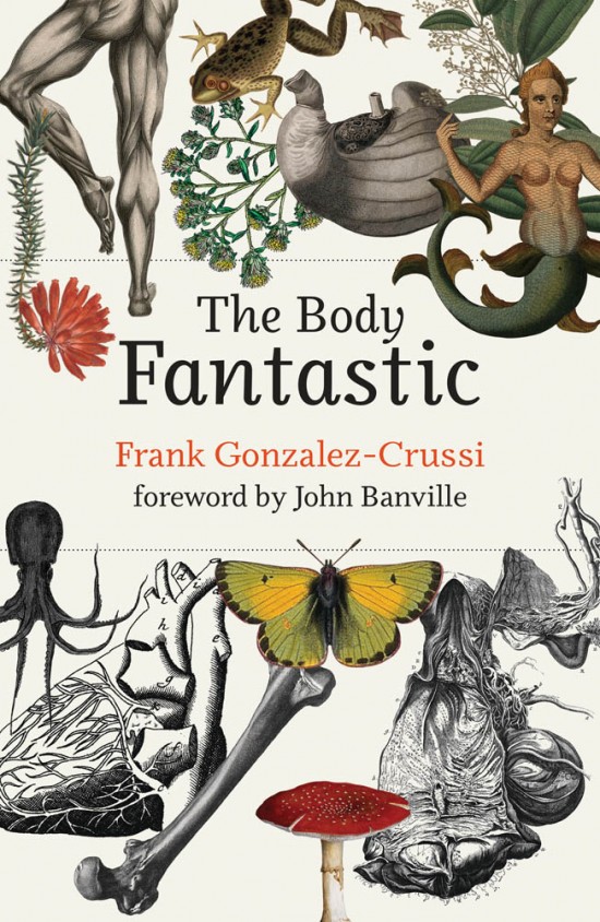 Cover image for The Body Fantastic by Frank Gonzalez-Crussi