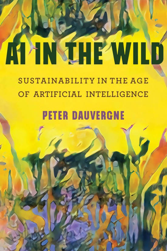 AI in the Wild book jacket