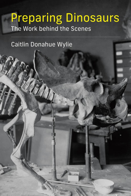 Cover image for Preparing Dinosaurs by Caitlin Donahue Wylie