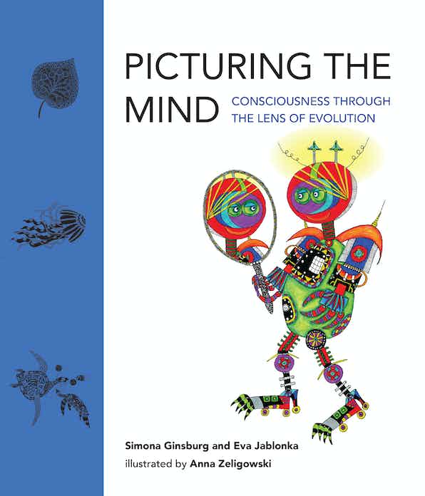 Picturing the Mind book jacket 