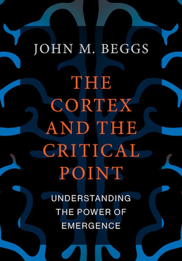 The Cortex and the Critical Point book jacket 