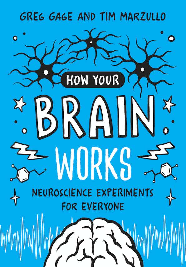 How Your Brain Works book jacket 