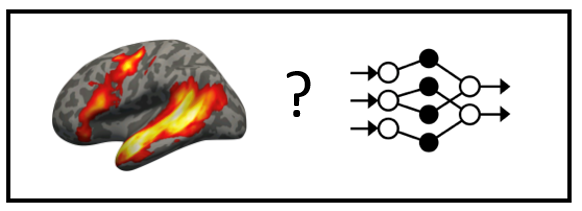 picture-brain-model