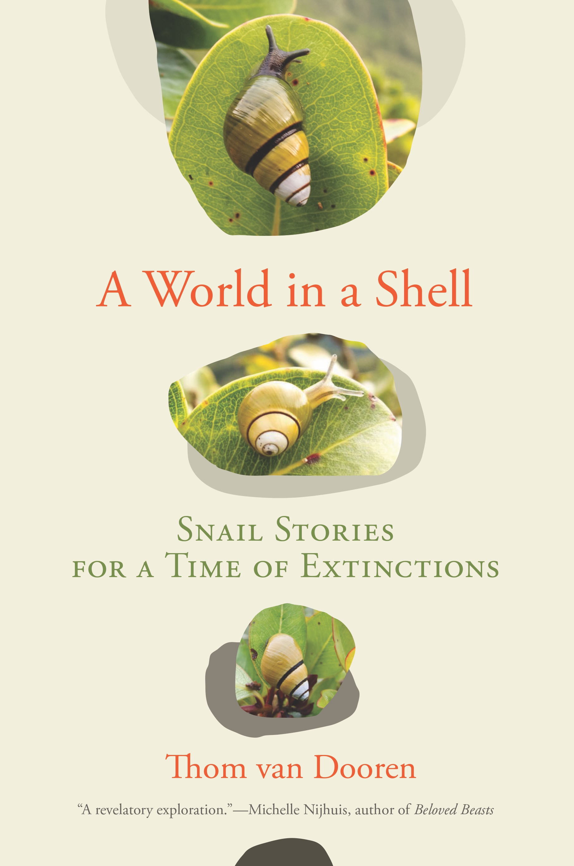 A World in a Shell book jacket 